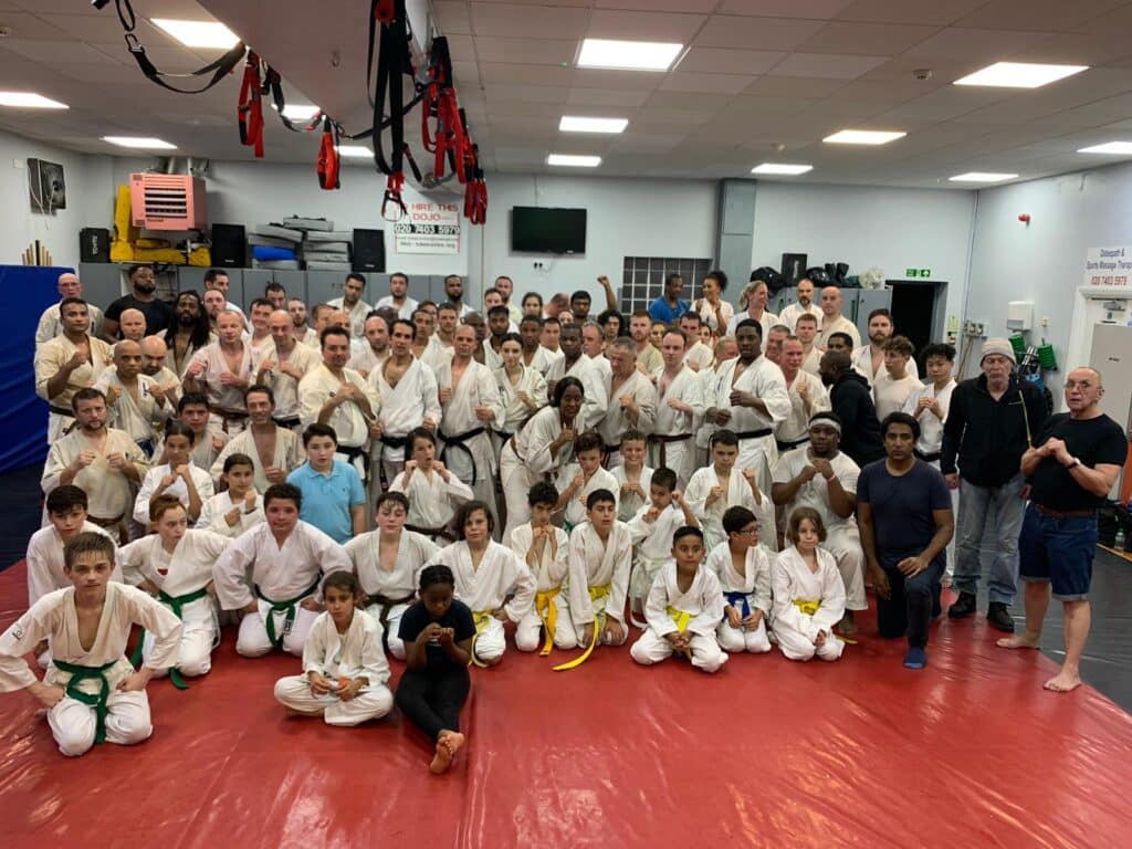 ADULTS Karate Classes